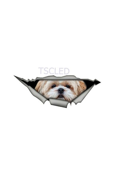 TSC Autocolant pentru mașină pentru câine drăguț rase Shih Tzu