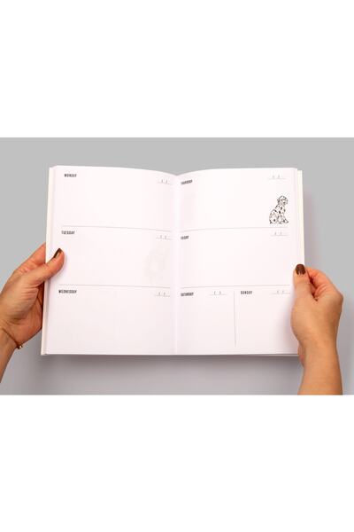 PK Design Agenda săptămânală de set contrastant: albastru