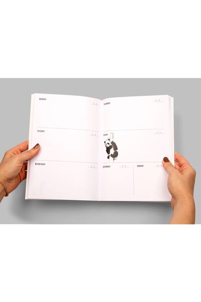 PK Design Agenda săptămânală de set contrastant: albastru