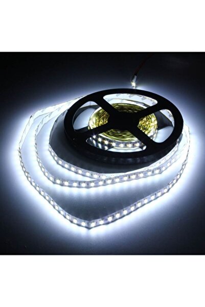 LOVYCO Strip Led 5 Mt 2835 Smd 120 Leds/M Dc12V White 6500K Indoor