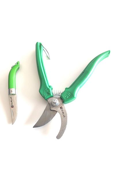 SürLaz Eco Vineyard Shears Grape Pruning Shears Mini Blade Set