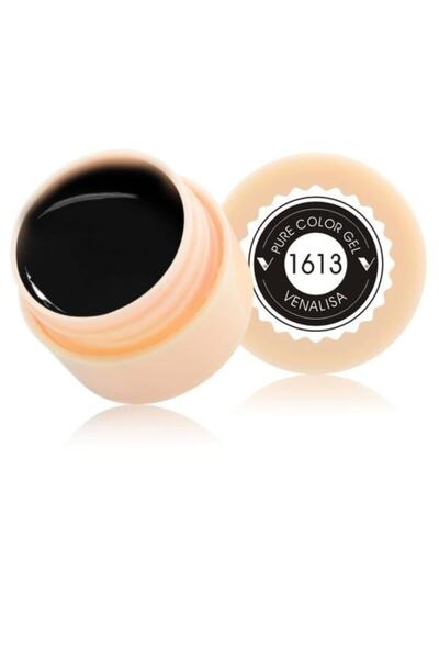 Venalisa 5 Ml Gel Paint Uv Çizim Nail Art Boyası Kod:1613