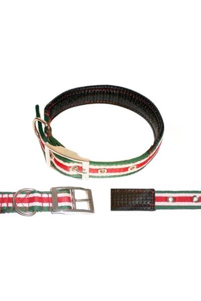 Biryirmi Köpek Tasması Büyük Orta Irk Köpek Boyun Tasması 4x47x55