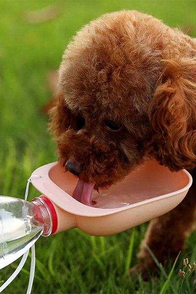 Buffer ® Pet Plastic Washable Portable Water Bottle Connected Water Container