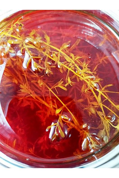 Petekoğlu (50ml) Yellow Handmade St. John's Wort Oil - 100% Natural