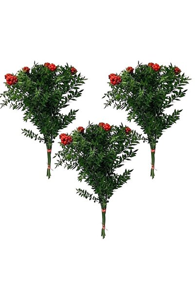 YEŞİLİMARKET Yılbaşı Kokina Canlı 3 Demet (18dal) Vazo Çiçeği Şans Bitkisi