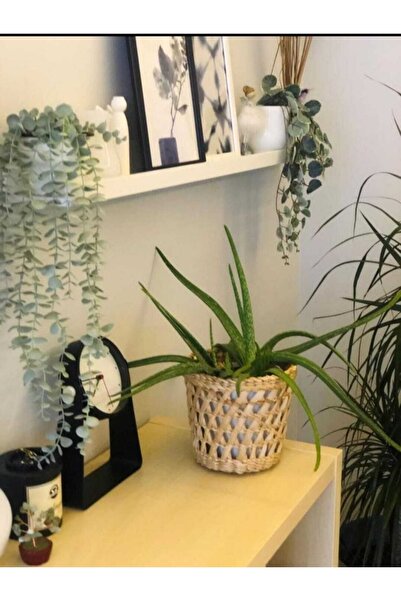 Genel Markalar Hasır Sepet Saksı El Emeği Tasarım Dekoratif Hasır Saksı Modeli