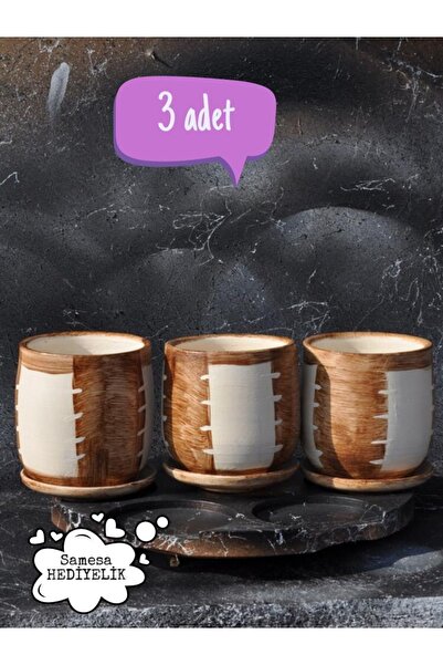 SAMESA HEDİYELİK Toprak Saksı Saksı Çeşitleri Kaktüs Saksı ( 3 Adet )