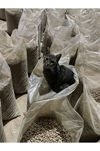Genel Markalar Kedi Kumu 20kg %100 Çam Peleti 6mm Odun Peleti 20kg Çuval