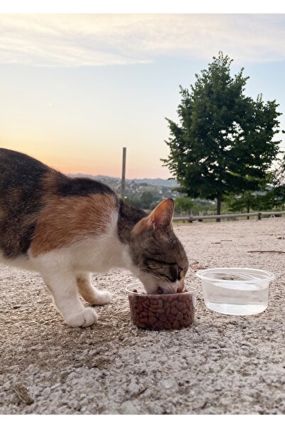 Chunky Kap Mama Kedi Dostluk Maması 85 gr