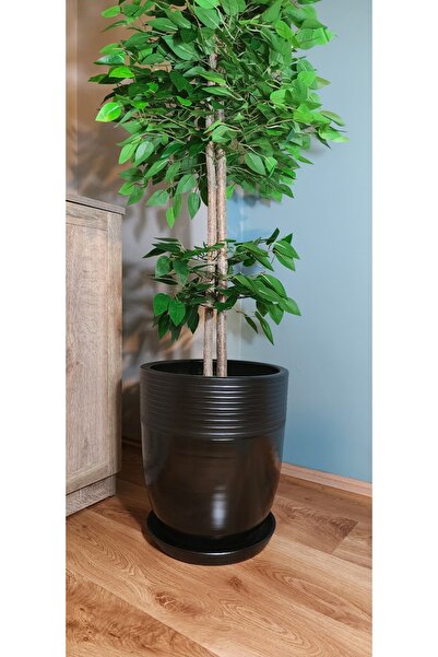 Balcony Flower 40 Cm Exclusive Salon Saksı