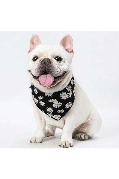 Advantage Dog Scarf Bandana