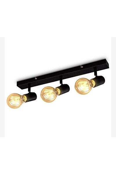 Rsylight Retro Metal 3lü Masallı Tavan Plofyoner Rustik Hareketli Spot Avize