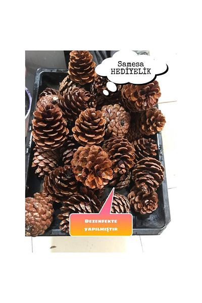 SAMESA HEDİYELİK Pinecone Christmas Ornaments Hobby Painting Pinecone 20pcs