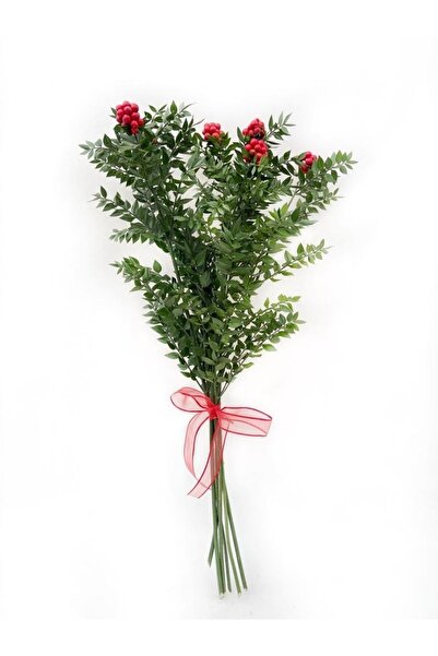 AKDOĞA Canlı Yılbaşı Çiçeği Kokina (6dal)