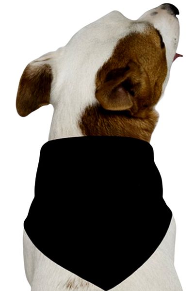 Advantage Dog Snap Adjustable Scarf Bandana