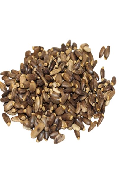 ÇIRPAN KUŞ DÜNYASI Deve Dikeni Tohumu ( 1. Kalite ) 500 gr (ÖZEL VAKUMLU AMBA...