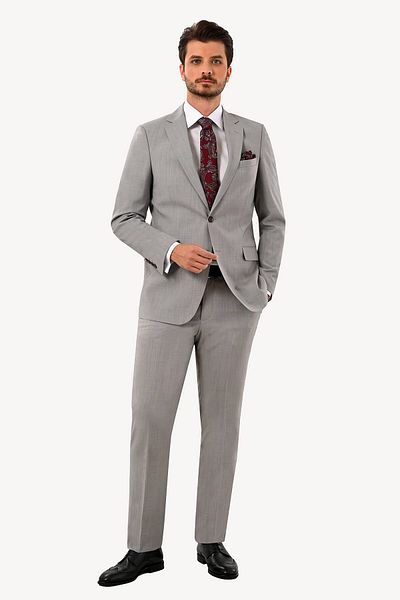 Ysf Men's Light Gray Regular Fit Suit