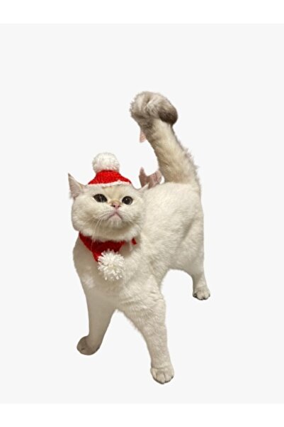 Lets Get Pet Mudanya Noel Şapka Kaşkol Kedi Köpek Yeni Yıl Seti