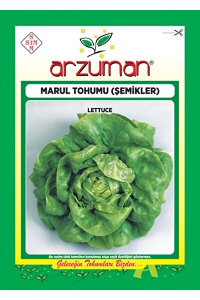 Lettuce Seed - Schemes - (10 Gr)
