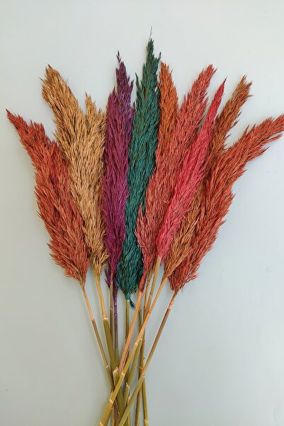 EÇiçek Şoklanmış Pampas Otu 15'li Demet 100 Cm