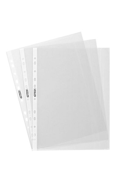 Bigpoint Eco Bag File 100 Pieces (1 BOX 50 PACK)