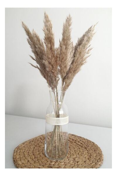 Hayat Naturel Kuru Çiçek Kuru Çiçek Pampas Dekor Çiçeği