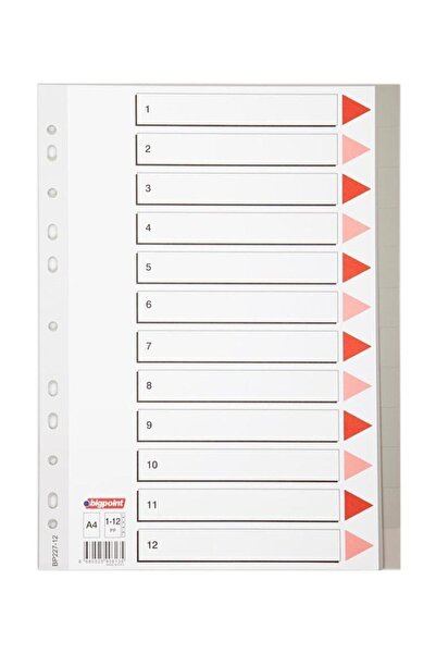 Bigpoint A4 Separator 1-12 Number Plastic