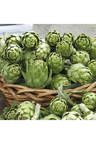 Mutlu Paket Doğadan Şifa Kaynağı Enginar Fidesi 3 Adet