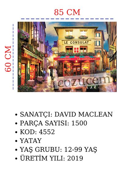 Anatolian Puzzle 1500 Pieces Let's Meet in Paris 4552