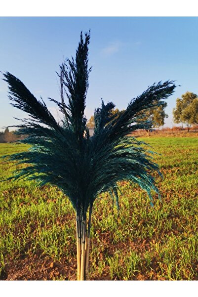 KurutulmusRenkler Zümrüt Yeşil Pampas 8'li