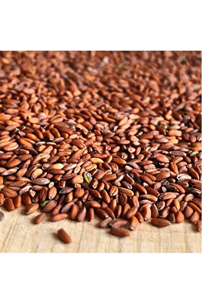 YILMAZ ŞİFALI BİTKİLER VE BAHARAT ÜRÜNÜ Tere Tohumu 100 gram Ilaçsızdır.