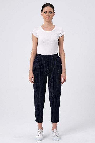 ALEXANDERGARDI Elastic Waist Striped Trousers (b22-136a)
