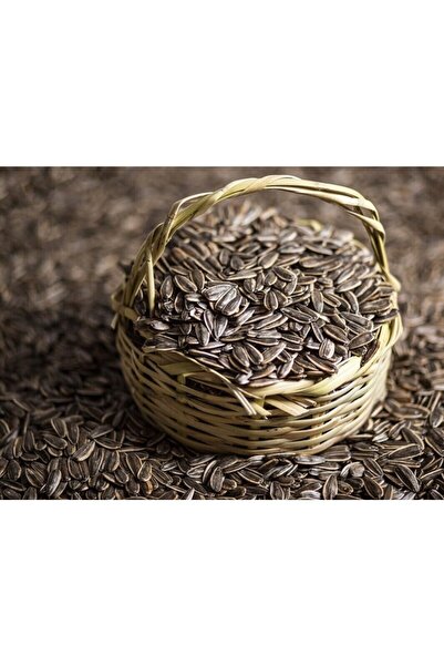 Natural Tuzsuz Çekirdek 250gr