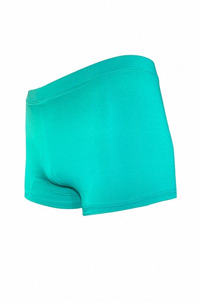 Fs Boy's Green White Printed Boxer Swimmer Sea Pool Beach Swimsuit