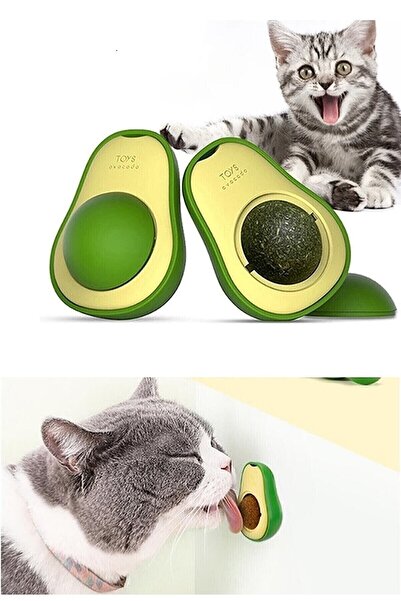 SARFEX Avokado Kedi Nanesi Catmint Catnip Kedi Otlu Oyuncak Kedi Çimi Oyuncağ...