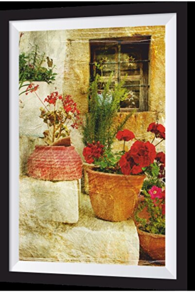 Hayat Poster Flower Pots on the Ladder Wooden Painting with Artistic Frame Look
