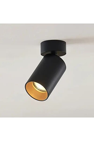 Rsylight Retro Metal Mafsallı Dekotatif Spot Aplik Beyaz Ampul