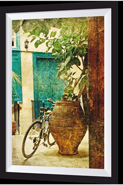 Hayat Poster Flower Pot Test Bicycle Artistic Frame Appearance Wooden Table