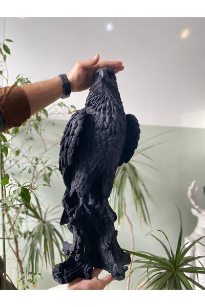 biomaxi plus Kartal Dev Biblo Dekoratif Eagle Mat Siyah (66x25 Cm)