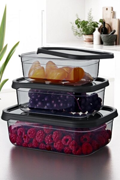 Akkoyunlu home حاوية تخزين أفقية صغيرة 3 قطع باللون الأسود المدخن Ank-115s