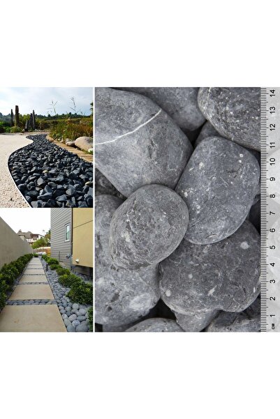 Asenya Siyah Bazalt Taş 10 Kg 4-6 Cm Siyah Dolomit Dekoratif Taş Bazalt Taş B...