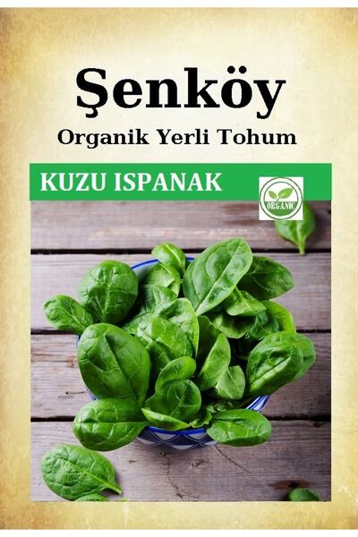Şenköy Yerli Kuzu Ispanak Tohumu Doğal Ata Geniş Yaprak Ispanak Tohum 1 Paket...