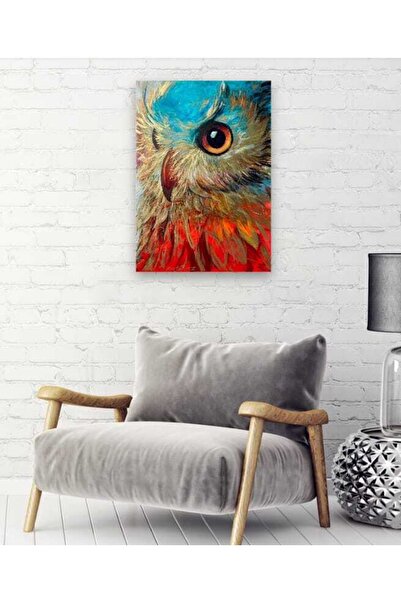 AYS Renkli Baykuş Kanvas Duvar Tablo