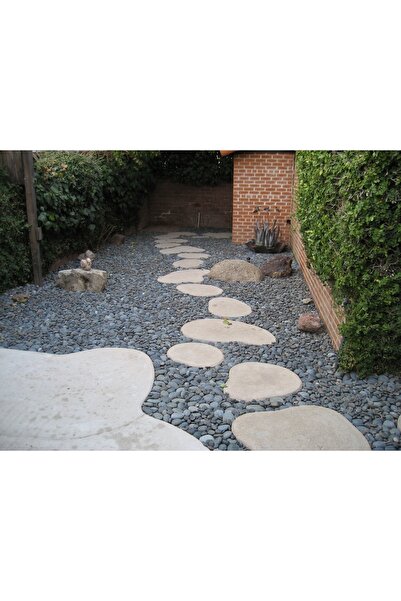 Asenya Siyah Bazalt Taş 3 Kg 4-6 Cm Siyah Dolomit Dekoratif Taş Bazalt Taş Ba...