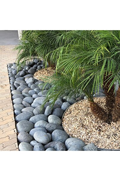 Asenya Siyah Bazalt Taş 15 Kg 4-6 Cm Siyah Dolomit Dekoratif Taş Bazalt Taş B...