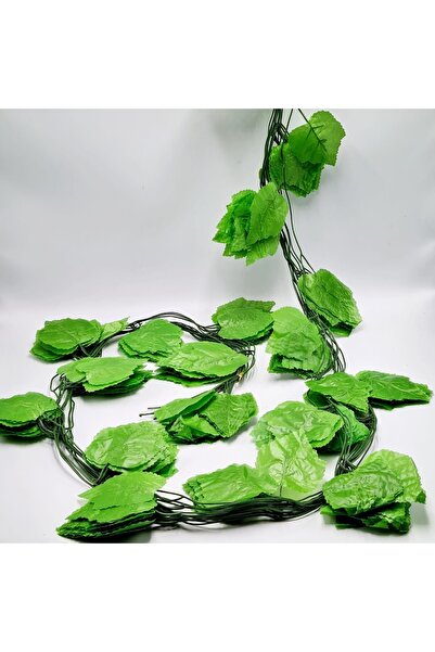 Sever 12 Li Zincir Sarmaşık Çiçek