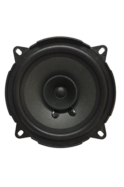 Powermaster Pw-13/100 4 Ohm 100 Watt 13 Cm Tekli Hoparlör