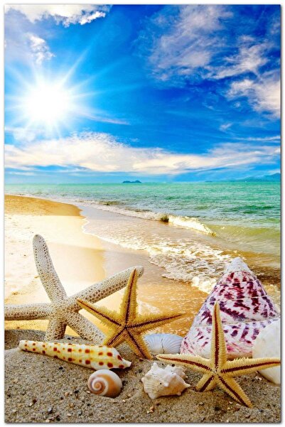 Cakatablo Ξύλινος πίνακας με αστερίες και κοχύλια στην παραλία (μέγεθος 25x35...