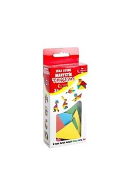 Diytoy Manyetik Tangram Zeka Oyunu ( Magnet Tangram )